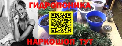 дживик Партизанск