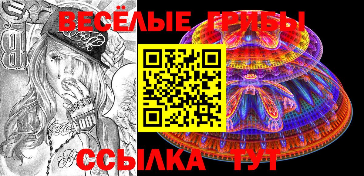 Галлюциногенные грибы Psilocybe Тимашёвск